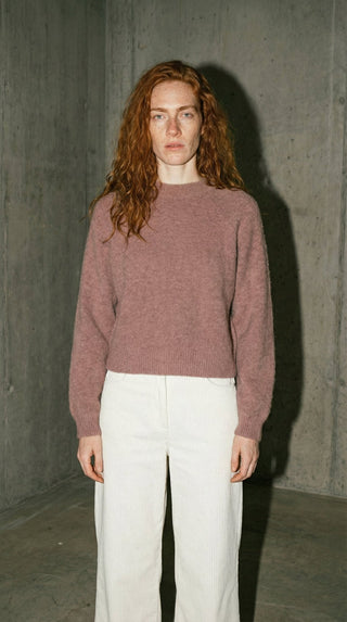 Maglia - Maglia girocollo alpaca e lana - Tortora - VEVI